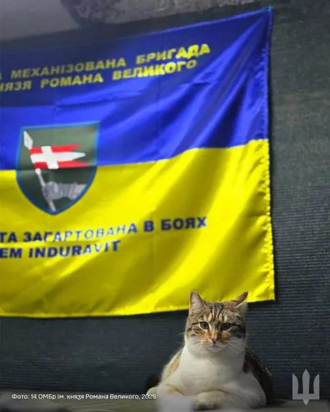 Бійці волинської бригади показали чотирилапу помічницю Фісташку (фото)