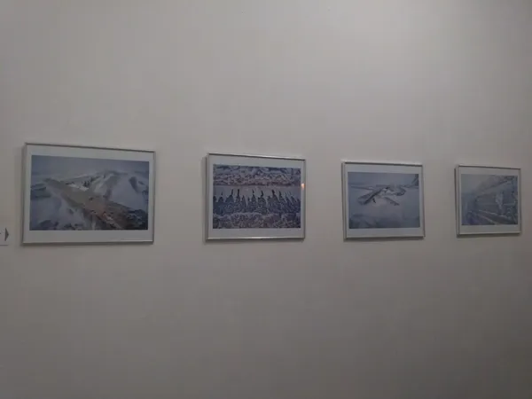 У луцькій Галереї мистецтв відбулася виставка фотографій
