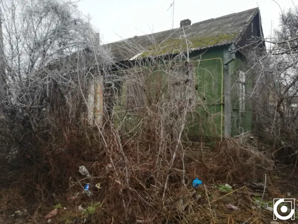 У Старому місті досі чимало приватних садиб, проте не всі власники готові підтримувати естетично привабливий вигляд будинків