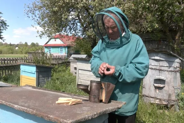 До бджіл пасічник йде в «обладунках» та з димарем