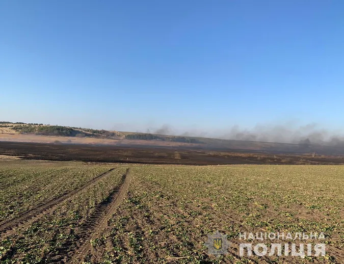 Підпалив очерет: з вини волинянина вигоріло понад 100 гектарів землі (фото, відео)