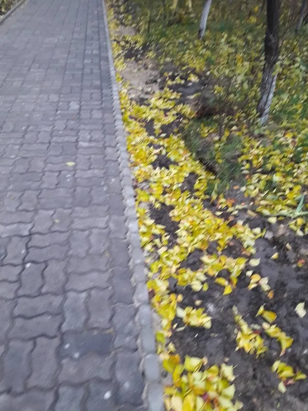 На Кравчука відремонтували пішохідну доріжку (фото)