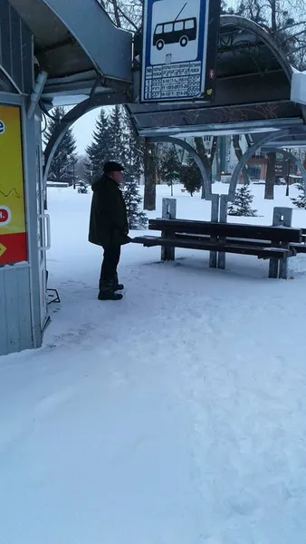 «Кому треба, той долізе»: як луцькі підприємці «чистяться» від снігу (фото)
