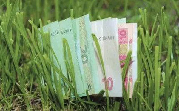 На Волині сплатили понад 137 мільйонів гривень плати за землю