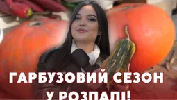 Насіння – на ліки, а м'якуш – на кашу: скільки коштує гарбуз на луцькому ринку (відео)
