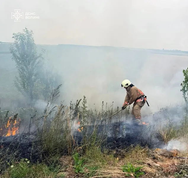 Вогонь охопив майже гектар: на Волині рятувальники ліквідували чотири пожежі сухостою (фото)