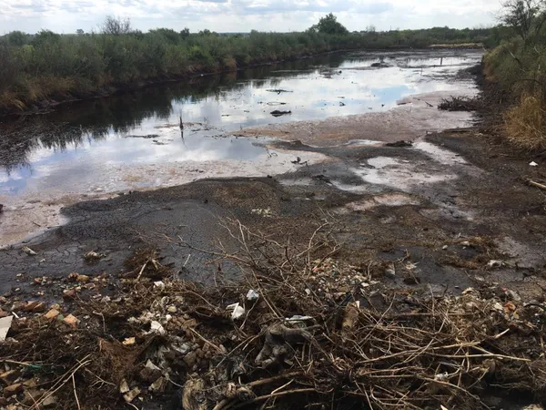 Сморід у Луцьку, або Що бродить на полях фільтрації гнідавського заводу (фото, відео)