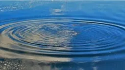 На Волині у водоймі в «Трьох бобрах» втопився чоловік (відео)