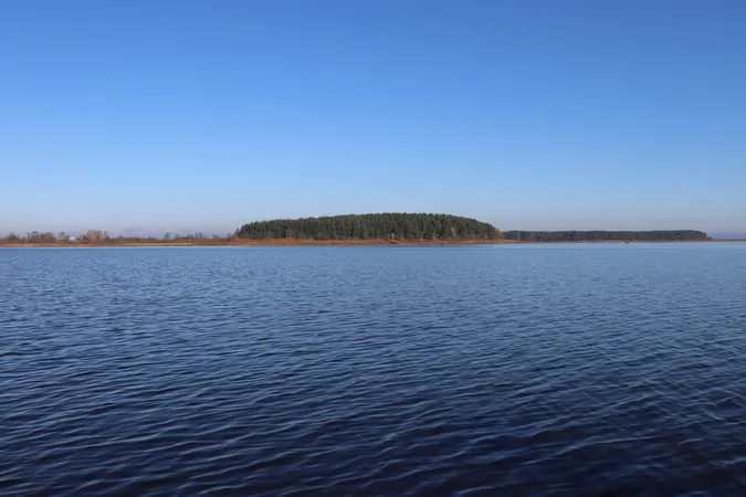 Осінні пейзажі озера на Волині (фото)