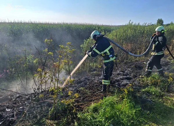 Чотири пожежі за добу: на Волині люди масово палять сухостій