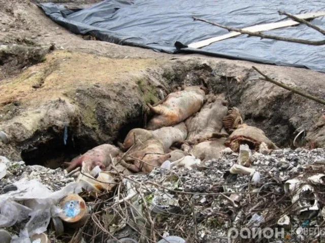 Які підприємства звозили відходи на ковельський ветсанзавод