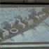 На приватних оселях у Луцьку бізнесвумен хоче зводити величезний ЖК (фото)