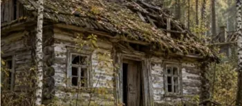 Ліс поглинає хати, а кладовище зберігає пам’ять: у хащах Полісся зникає покинутий хутір-привид