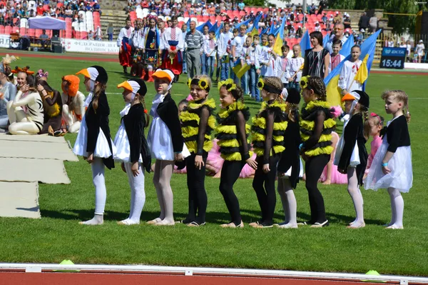 Відкриття та перші переможці: у Луцьку стартував чемпіонат України з легкої атлетики (фото)