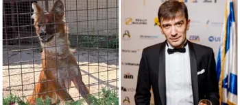 «Усиновив» вовка: відомий у 2000-х ексдіджей підтримав Луцький зоопарк