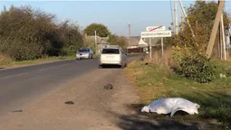 Летальна ДТП на Волині – загинув велосипедист: особу загиблого встановлюють (фото, відео)