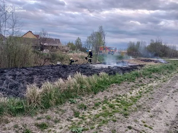 Підпал, замикання, необережність: на Волині загасили шість пожеж (фото)
