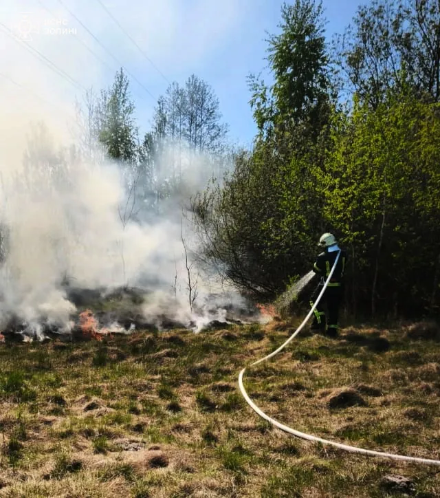Волинь – у вогні: за добу в області сталися 10 пожеж (фото)