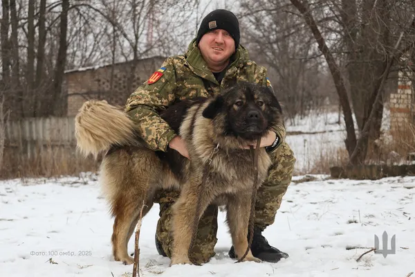 «Ведмедик-антистрес»: як чотирилапий побратим допомагає на фронті воїну з Волині (фото)