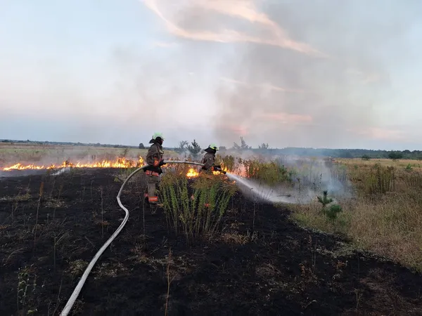 За минулу добу на Волині сталось три пожежі: працювали рятувальники (фото)