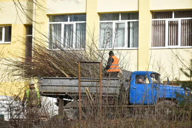 У Луцьку почистили берег Сапалаївки та висадили там клени (фото)