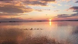 Неймовірний захід сонця на Світязі (фото)