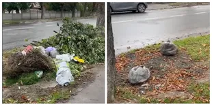 Сміття просто на вулиці: у Луцьку скаржаться на стихійні звалища (відео)