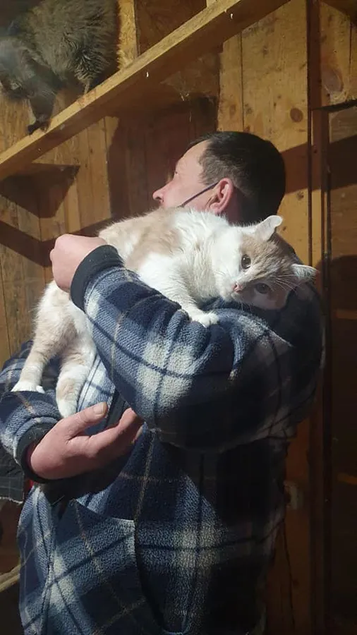 У Луцьку коту, якого підкинули «Ласці», через дев'ять місяців знайшли домівку