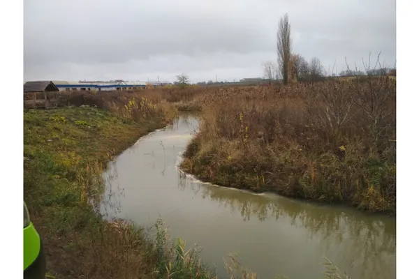 Гнідавський цукровий завод забруднив річку Жидувку, – луцькі екологи (фото)