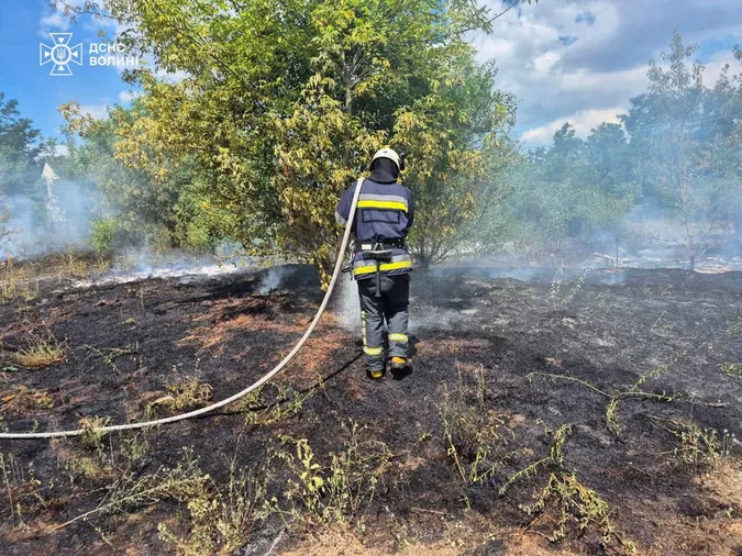 Вогонь охопив майже гектар: на Волині рятувальники ліквідували чотири пожежі сухостою (фото)