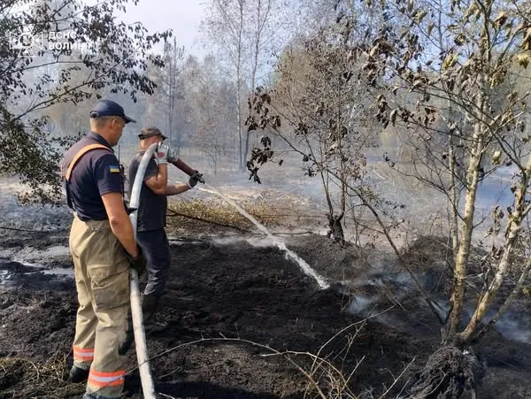 На Волині – масштабна пожежа: рятувальники, лісівники і місцеве населення гасять торф'яник (фото, відео)