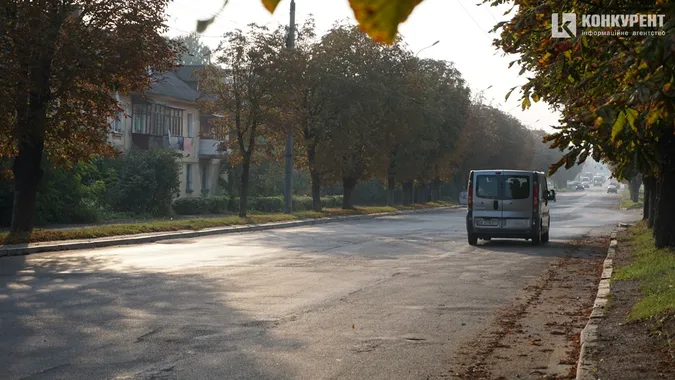 Квіти, песики, каштани: Дубнівська у Луцьку восени (фото)