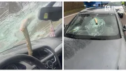 На авто лучанки на швидкості впало дерево і проштрикнуло «лобовуху»: моторошні деталі (фото, відео)