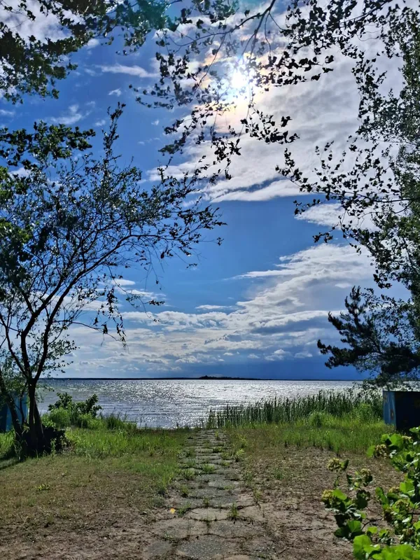 Світязь вразив незвичним видовищем: вода в озері стала схожою на рідке срібло (фото)