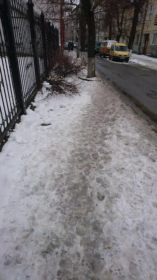 Лучани скаржаться на гілля на тротуарі