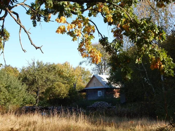 Мандрівники з Англії блукали автентичним волинським селом (фото)