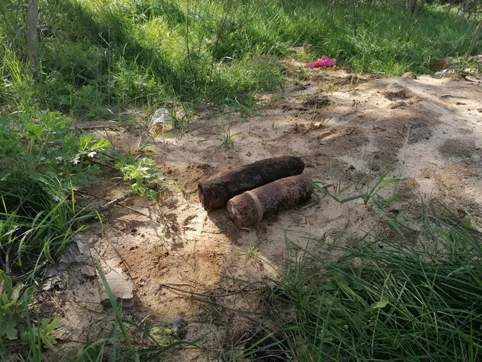 На Волині грибники знайшли авіабомбу, міну і снаряди(фото)