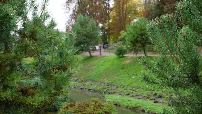 До Луцька раптово підібралась осінь: атмосферні світлини (фото)