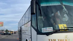 У Луцьку «ауді» в'їхала в автобус (фото)