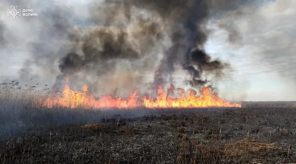Вогняні стовпи в заплаві Прип'яті: на Волині майже півтори доби гасили масштабну пожежу (фото)