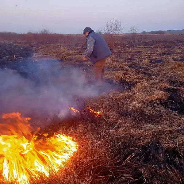 Вогонь охопив національний парк на Волині: у чому причина