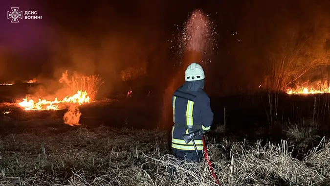 Суха трава, очерет і два торфовища: на Волині спалахнули 8 пожеж (фото)