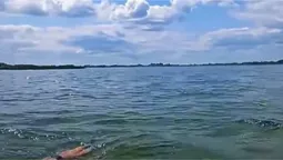 На Поліссі знайшли озеро-близнюка з кришталевою водою та піщаним дном (відео)