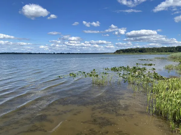 Прозора вода під безкраїм небом: показали краєвиди озера на Волині (фото)
