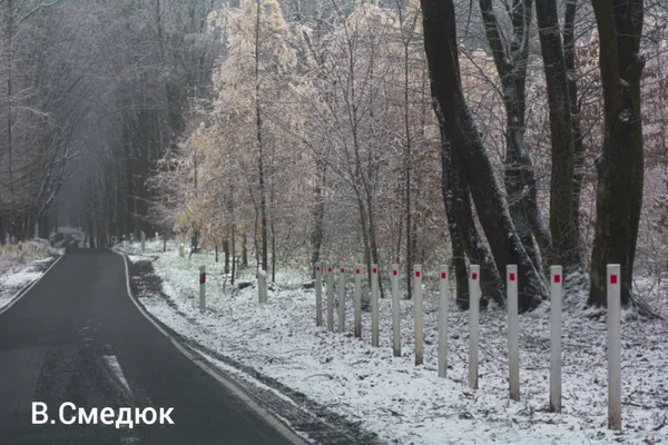 Топ-5 локацій біля Луцька для зимового відпочинку (фото)