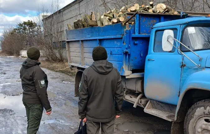 У Володимирі незаконно зрубали понад 200 кленів і верб