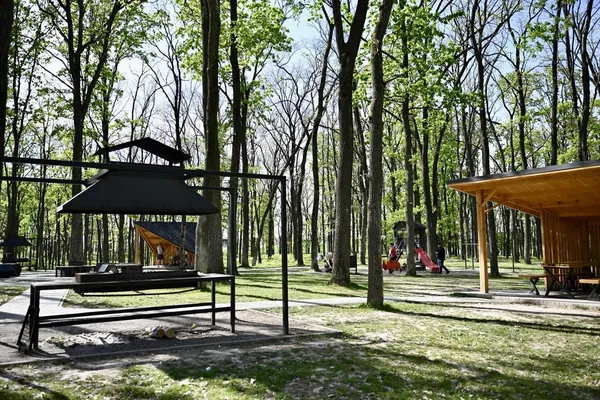 Коли у Ківерцях відкриють оновлену зону відпочинку серед лісу (фото)