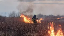 🔥Волинь палає: рятувальники досі намагаються приборкати стовпи вогню