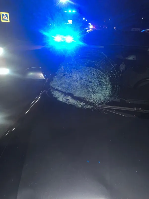 У Нововолинську на пішохідному переході збили двох жінок (фото)