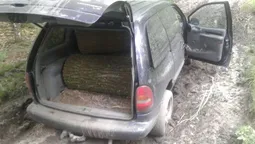 На Волині крадії лісу на "євробляхах" намагалися вивезти дуби